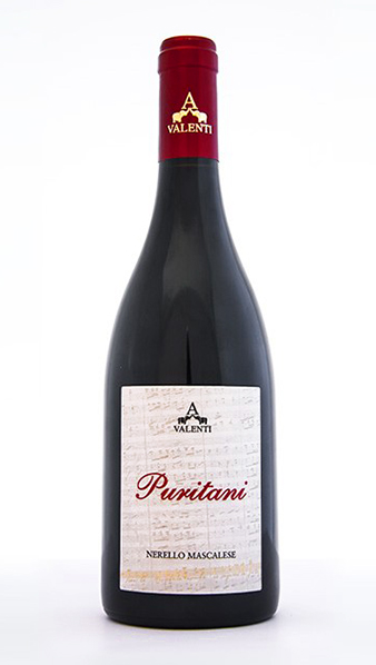 mucci imports cantine valenti puritani