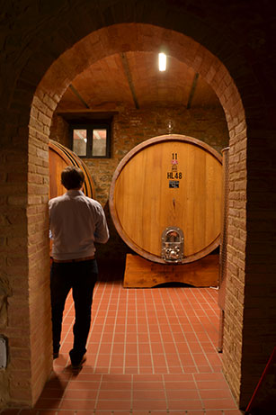 mucci imports fattoria del pino