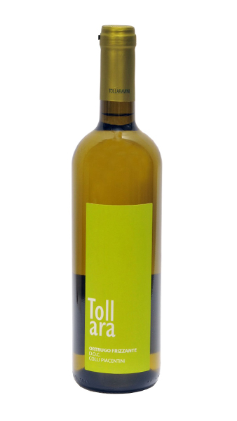 mucci imports la tollara ortrugo