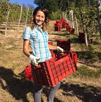 Silvia Barbaglia holding a crate of freshly picked grapes in the vineyard during a recent harvest.