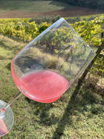 photo of a rose wine in a glass at sunset in an Italian vineyard