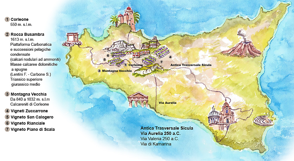 illustrated map of Sicily marking Corleone and the Gaetano di Carlo winery