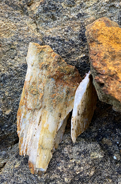 close up view of rock from the vineyard in the center of Sicily