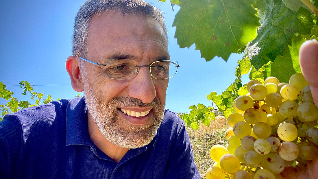 a close up of the winemaker inspecting his grapes under the hot Sicilian sun