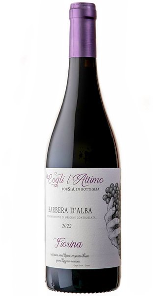 Fiorina Barbera d'Alba bottle photo on white