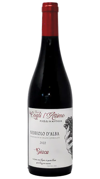 Giacu Nebbiolo d'Alba bottle photo on white