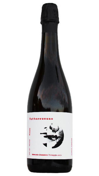 isolated wine bottle photo of Metodo Classico  Rosato